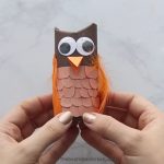 Owl Craft Toilet Paper Roll Paper Roll Owl owl craft toilet paper roll|getfuncraft.com