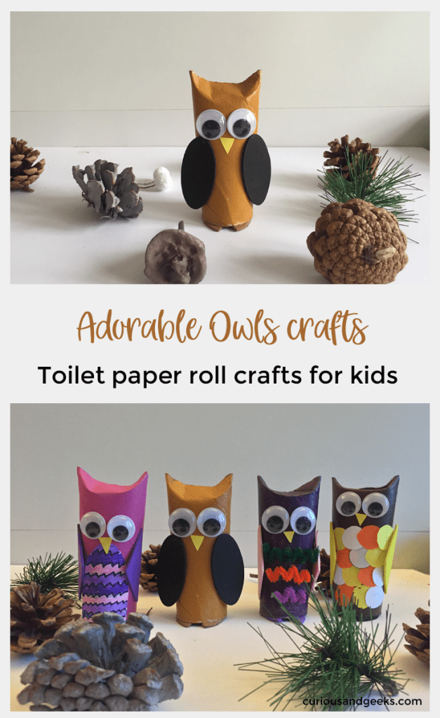 Owl Craft Toilet Paper Roll Toilet Paper Roll Owls Pin owl craft toilet paper roll|getfuncraft.com